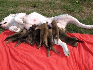 Am 4. Tag im Garten die Sonne geniessen zusammen mit der Mutter .....